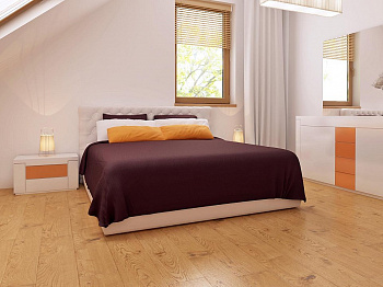 Проект Z1 bl